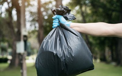 Gestión de basura responsable: 10 mandamientos ineludibles